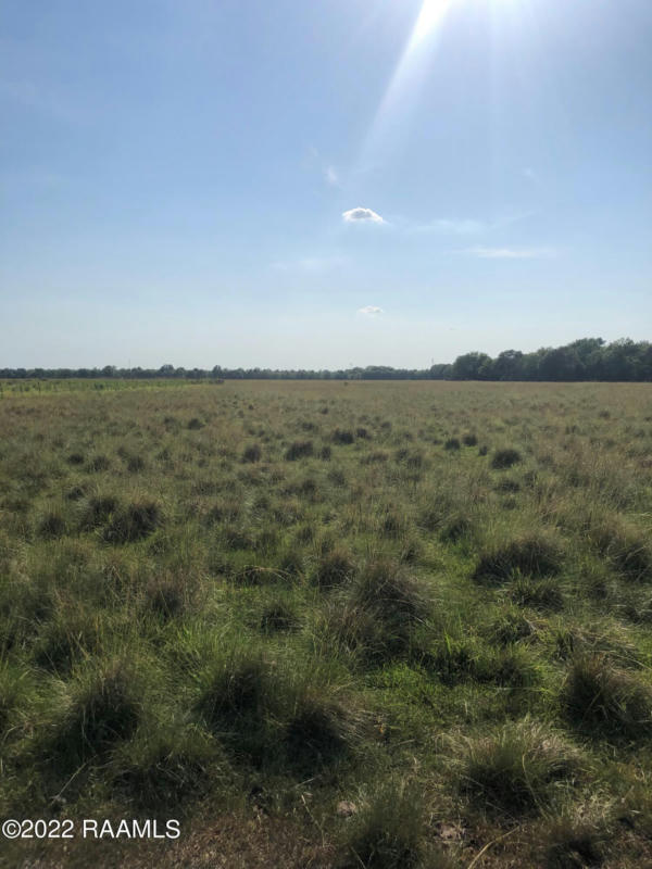 LOT 8 GRAND PRAIRIE HIGHWAY, RAYNE, LA 70578, photo 1