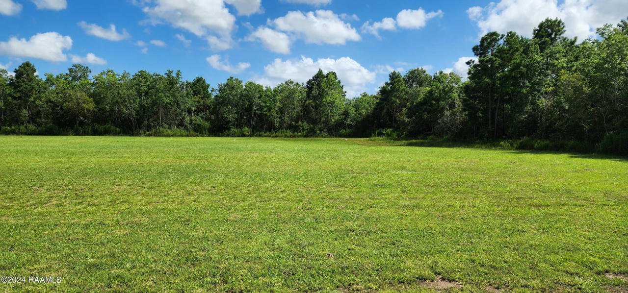 TBD LOUISIANA AVENUE, GUEYDAN, LA 70542, photo 1 of 2