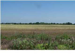 LOT 9 MONCEAUX ROAD, RAYNE, LA 70578, photo 1