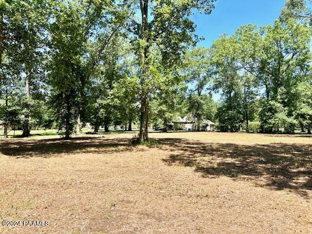 TBD HORMELL LANE, EUNICE, LA 70535, photo 1 of 2