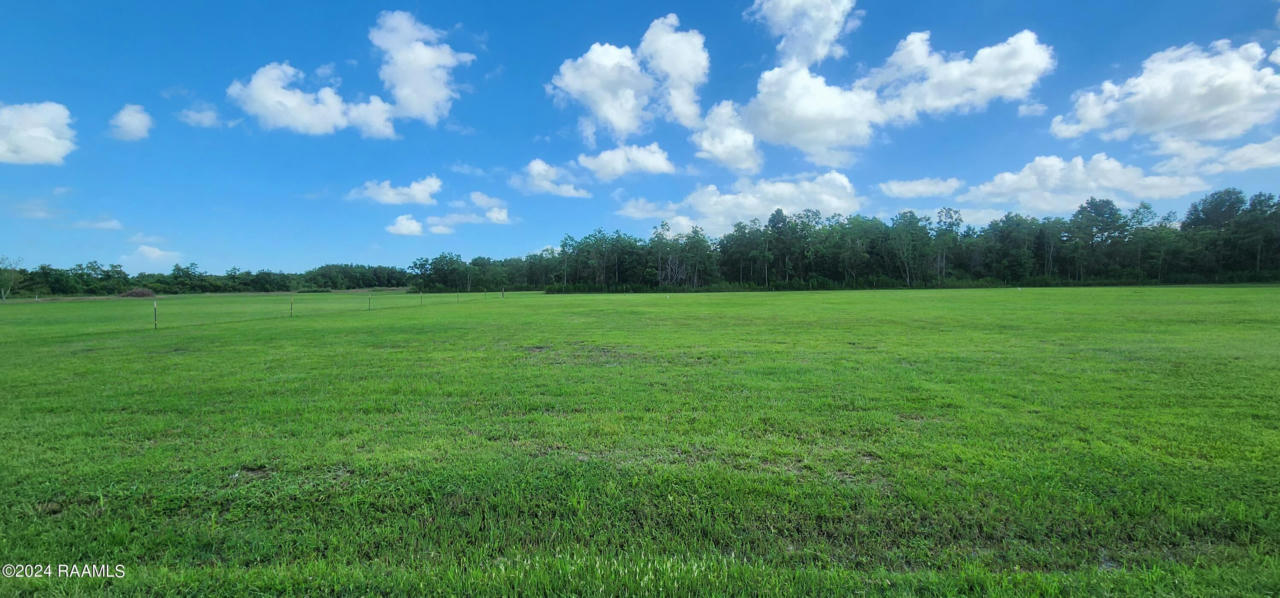 TBD LOUISIANA AVENUE, GUEYDAN, LA 70542, photo 1 of 2