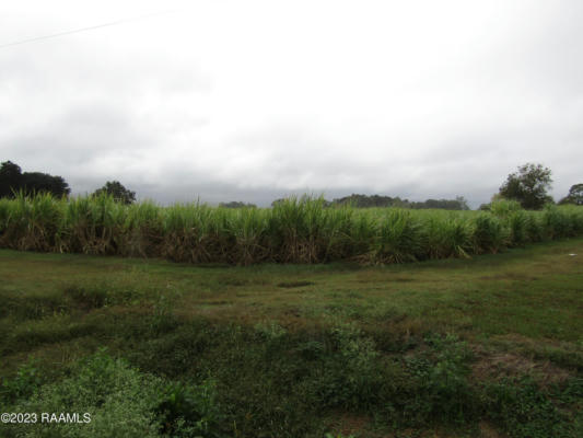 TBD E HWY 90, JEANERETTE, LA 70544 - Image 1