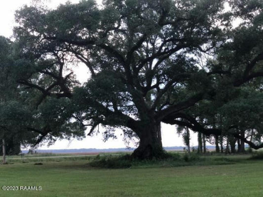 TBD MAIN HWY, ARNAUDVILLE, LA 70512, photo 3 of 8